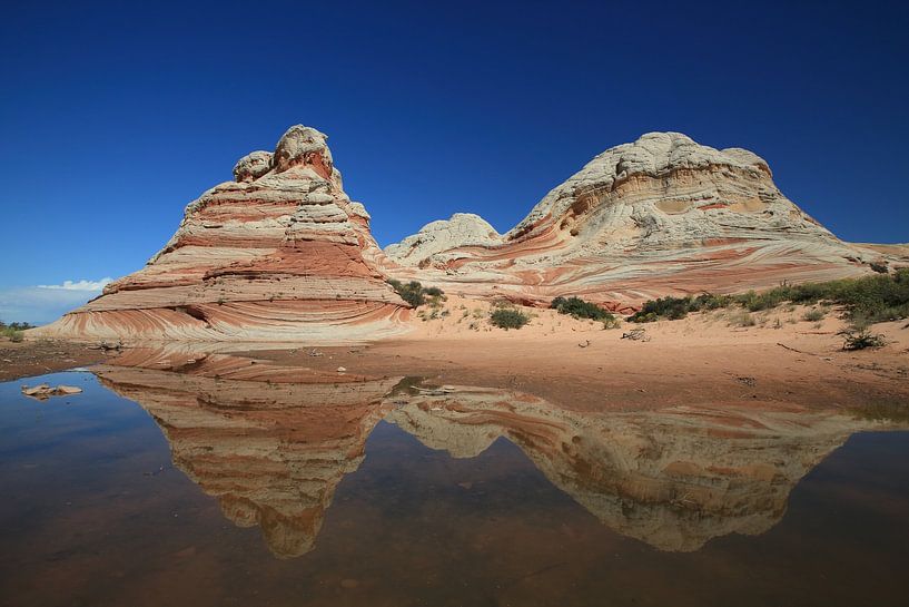White Pocket, Vermilion Cliffs National Monument, Arizona van Frank Fichtmüller