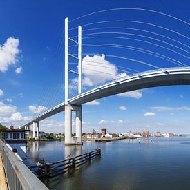 Rügenbrücke - Strelasundquerung (Panorama) von Frank Herrmann
