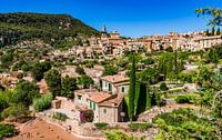 Idyllisch uitzicht op het mediterrane dorp Valldemossa op het eiland Mallorca, Spanje van Alex Winter thumbnail