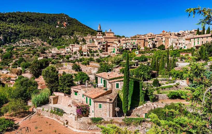 Idyllisch uitzicht op het mediterrane dorp Valldemossa op het eiland Mallorca, Spanje van Alex Winter