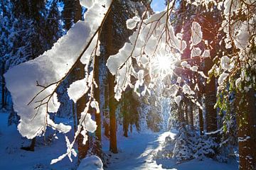 Snow magic on the Zauchbach