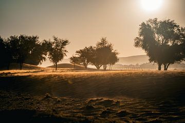 Namib woestijn bij zonsondergang - 2023 van Sanne Meijer