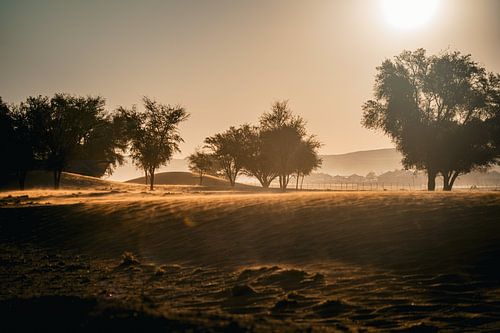 Namib desert at sunset - 2023