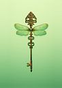 Dragonfly sleutel van 360brain thumbnail