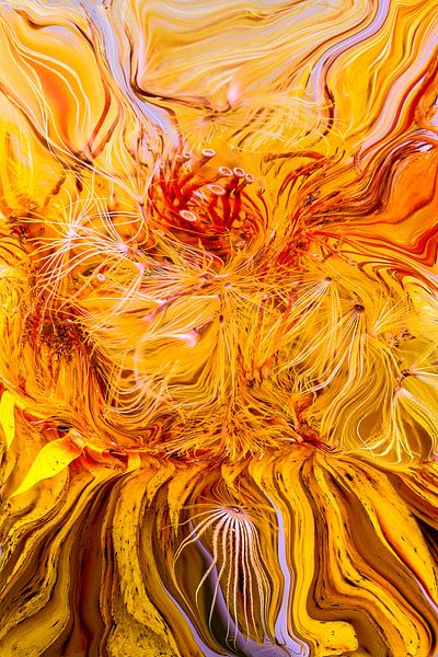 The Secret Life of Plants No3 by Jenco van Zalk