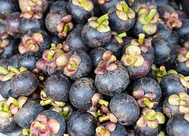 mangostan van Eddie Meijer