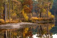 Kleuren schouwspel met weerspiegeling.