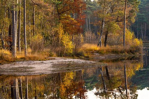 Kleuren schouwspel met weerspiegeling.