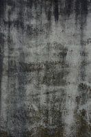 Muur