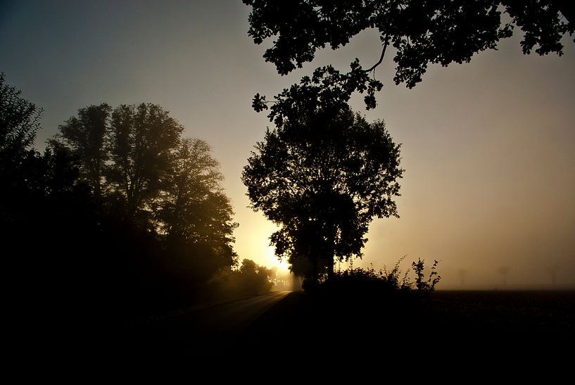 Road in the morning mist by Norbert Sülzner