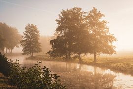 Bäume an der Uferpromenade von Durk-jan Veenstra