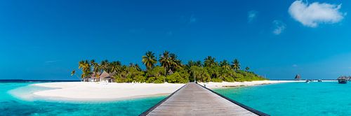 Island panorama foresight