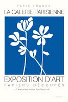 Fleurs de Matisse II, Mercedes Lopez Charro