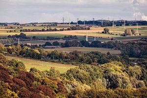 Ransdalerveld