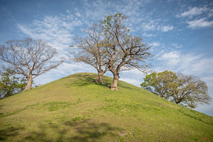 Grabhügel von Gyeongju