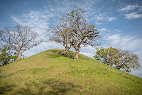 Grabhügel von Gyeongju
