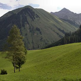 Oostenrijks landschap von Jeroen Grit
