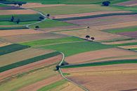 PATCHWORK by Mieke van der Beek thumbnail