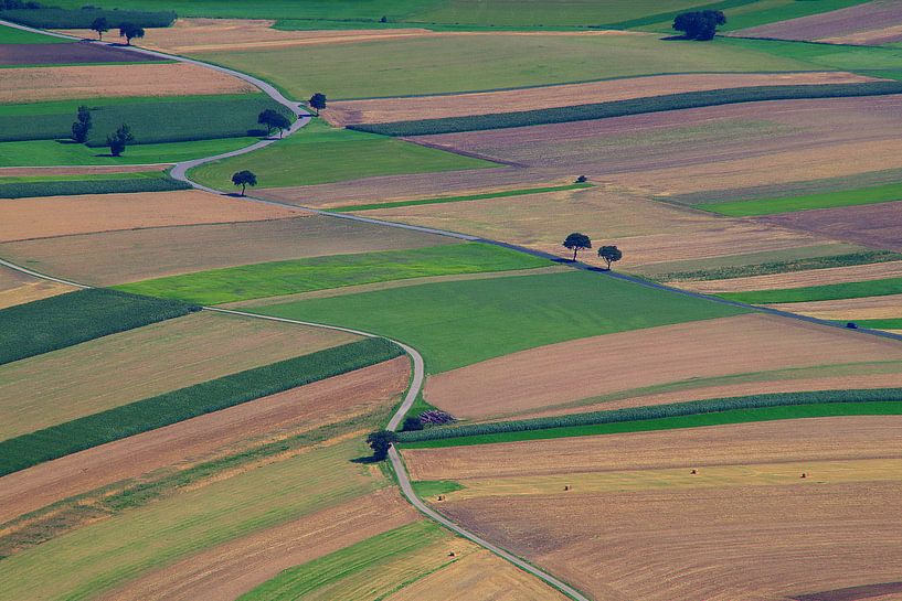 PATCHWORK by Mieke van der Beek