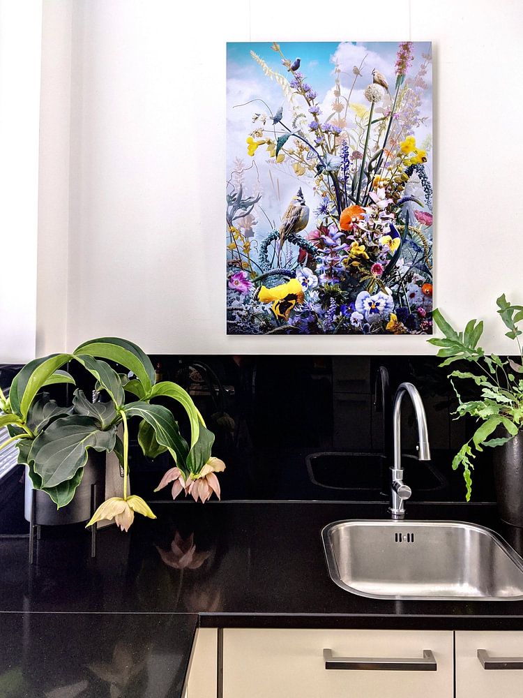 Eunoia  par Jesper Krijgsman 