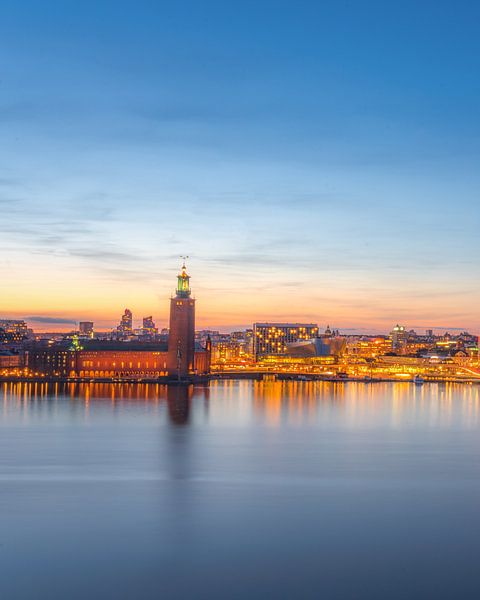 Stockholm Stadslicht 2 van Iman Azizi
