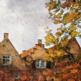 Über die Dächer von Iris van Heusden