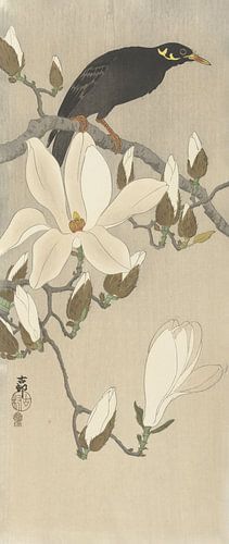 Myna op een Magnolia tak van Ohara Koson