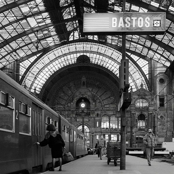 Centraal Station Antwerpen van Raoul Suermondt
