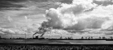 Industrie à côté du 2e Maasvlakte en noir et blanc sur de buurtfotograaf Leontien