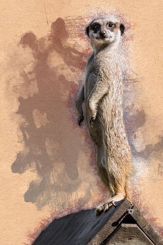 Meerkat stands meerkat (artwork)