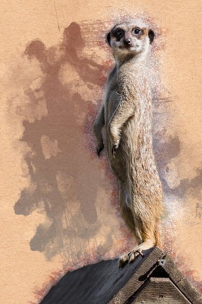 Erdmännchen steht Erdmännchen (Kunstwerk) von Art by Jeronimo