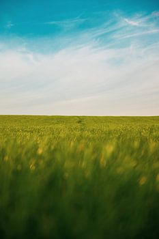 Purpose and vocation - The path that through the natural symmetry of division of grain and air, make