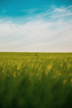 But et vocation - Le chemin qui, par la symétrie naturelle de la division du grain et de l'air, rend