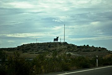 Aanplakbord / Silhouet van een stier