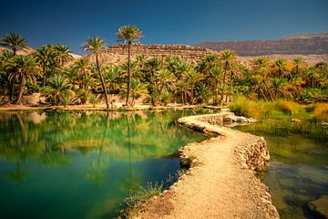 Une oasis dans le désert sur Antwan Janssen