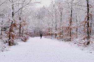 Braving the cold