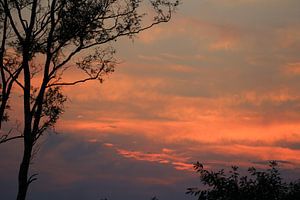 Avondrood , rode lucht , lucht , rood , natuur