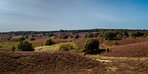 De Posbank - Rheden 1 von Nuance Beeld