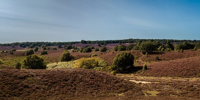 De Posbank - Rheden 1 by Nuance Beeld