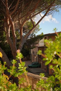 Gouden gloed over een rustig straatje in mediterraan dorp van Maeso Fotografie