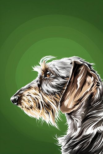 Ruwharige Teckel op Groene Achtergrond