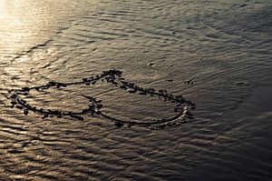 Love on the beach van Ellen Driesse