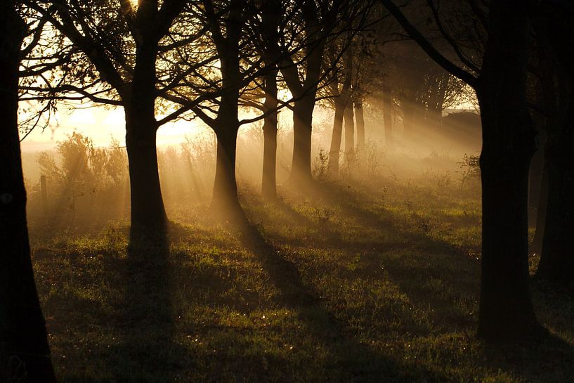 Sunshine game by Lennart Aangeenbrug