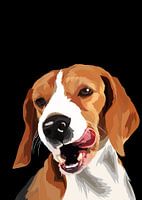 Beagle dog vector