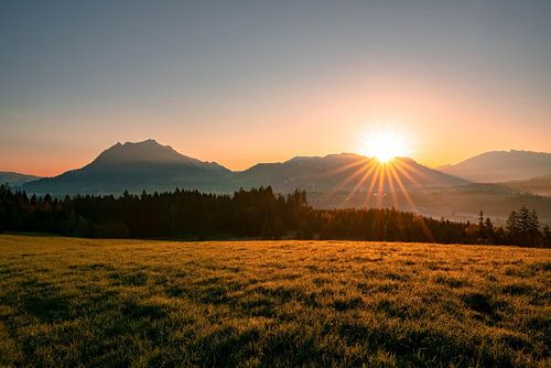 Bloemrijk uitzicht op de Grünten bij zonsopgang