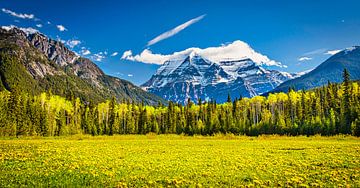 Mount Robson, British Columbia, Canada van Rietje Bulthuis