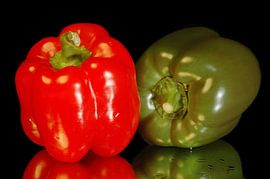 Still life Peppers by Brian Morgan