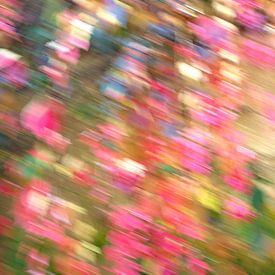 Heldere wijnbladeren van Steffi Hommel