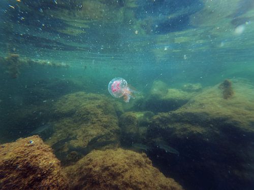 Onderstroom van Beeldspraak