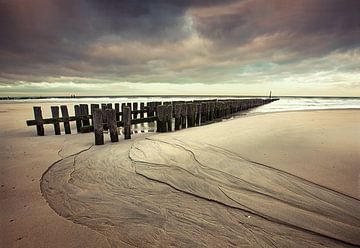 A morning at the beach van Halma Fotografie